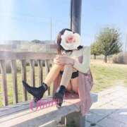 ヒメ日記 2025/07/08 14:03 投稿 おぼろ 西船人妻花壇