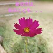 ヒメ日記 2025/07/11 20:52 投稿 おぼろ 西船人妻花壇