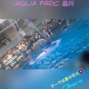 ヒメ日記 2025/07/25 00:09 投稿 おぼろ 西船人妻花壇