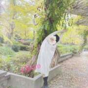 ヒメ日記 2025/08/08 21:25 投稿 おぼろ 西船人妻花壇