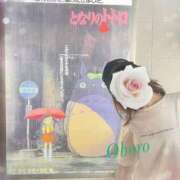 ヒメ日記 2025/08/12 19:04 投稿 おぼろ 西船人妻花壇