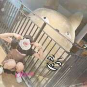 ヒメ日記 2025/08/17 20:07 投稿 おぼろ 西船人妻花壇