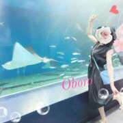 ヒメ日記 2025/08/28 08:06 投稿 おぼろ 西船人妻花壇