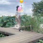 ヒメ日記 2025/08/31 13:35 投稿 おぼろ 西船人妻花壇