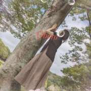 ヒメ日記 2025/09/15 21:33 投稿 おぼろ 西船人妻花壇