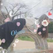 ヒメ日記 2025/10/12 23:19 投稿 おぼろ 西船人妻花壇