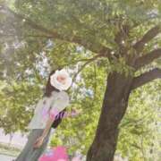 ヒメ日記 2025/10/18 21:24 投稿 おぼろ 西船人妻花壇