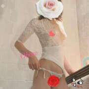 ヒメ日記 2025/10/20 22:05 投稿 おぼろ 西船人妻花壇