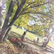 ヒメ日記 2025/10/30 11:05 投稿 おぼろ 西船人妻花壇