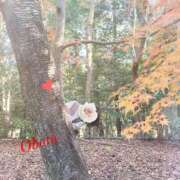 ヒメ日記 2025/11/13 11:03 投稿 おぼろ 西船人妻花壇