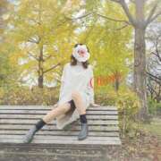 ヒメ日記 2025/11/17 22:38 投稿 おぼろ 西船人妻花壇