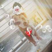 ヒメ日記 2025/11/19 22:11 投稿 おぼろ 西船人妻花壇