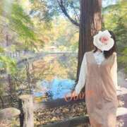 ヒメ日記 2025/11/21 21:50 投稿 おぼろ 西船人妻花壇