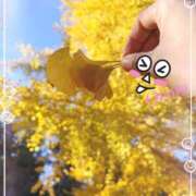 ヒメ日記 2025/11/22 17:35 投稿 おぼろ 西船人妻花壇