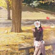 ヒメ日記 2025/11/22 23:04 投稿 おぼろ 西船人妻花壇