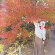 ヒメ日記 2025/11/24 22:26 投稿 おぼろ 西船人妻花壇