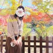 ヒメ日記 2025/11/26 18:40 投稿 おぼろ 西船人妻花壇