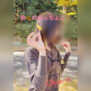 ヒメ日記 2025/11/28 23:18 投稿 おぼろ 西船人妻花壇