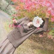 ヒメ日記 2025/11/29 17:38 投稿 おぼろ 西船人妻花壇