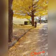 ヒメ日記 2025/11/30 21:17 投稿 おぼろ 西船人妻花壇