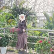 ヒメ日記 2025/12/01 00:40 投稿 おぼろ 西船人妻花壇