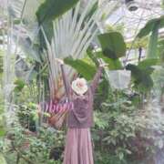 ヒメ日記 2025/12/03 19:08 投稿 おぼろ 西船人妻花壇