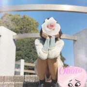 ヒメ日記 2025/12/05 12:55 投稿 おぼろ 西船人妻花壇