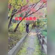 ヒメ日記 2025/12/14 22:36 投稿 おぼろ 西船人妻花壇