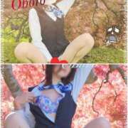 ヒメ日記 2025/12/25 14:33 投稿 おぼろ 西船人妻花壇