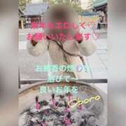 ヒメ日記 2025/12/31 21:36 投稿 おぼろ 西船人妻花壇