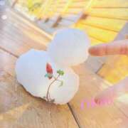 ヒメ日記 2026/01/04 20:20 投稿 おぼろ 西船人妻花壇