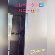 ヒメ日記 2026/01/15 00:21 投稿 おぼろ 西船人妻花壇