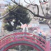 ヒメ日記 2026/01/28 19:36 投稿 おぼろ 西船人妻花壇