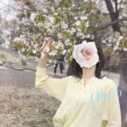 ヒメ日記 2026/03/08 21:55 投稿 おぼろ 西船人妻花壇