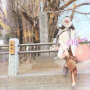 ヒメ日記 2026/03/19 23:33 投稿 おぼろ 西船人妻花壇