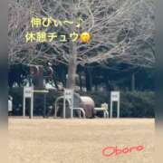 ヒメ日記 2026/03/25 13:47 投稿 おぼろ 西船人妻花壇