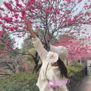 ヒメ日記 2026/03/28 16:48 投稿 おぼろ 西船人妻花壇