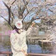 ヒメ日記 2026/03/30 08:43 投稿 おぼろ 西船人妻花壇