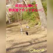 ヒメ日記 2026/03/31 07:12 投稿 おぼろ 西船人妻花壇