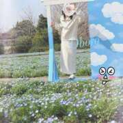 ヒメ日記 2026/03/31 21:33 投稿 おぼろ 西船人妻花壇