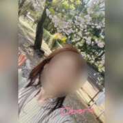 ヒメ日記 2026/04/03 07:07 投稿 おぼろ 西船人妻花壇