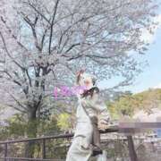 ヒメ日記 2026/04/03 18:07 投稿 おぼろ 西船人妻花壇