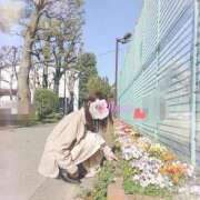 ヒメ日記 2026/04/05 14:28 投稿 おぼろ 西船人妻花壇