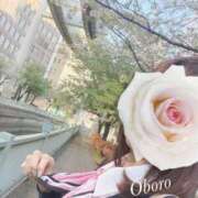 ヒメ日記 2026/04/11 22:45 投稿 おぼろ 西船人妻花壇