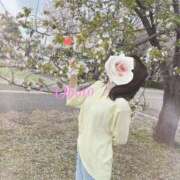 ヒメ日記 2026/04/12 17:18 投稿 おぼろ 西船人妻花壇