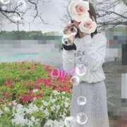 ヒメ日記 2026/04/18 11:10 投稿 おぼろ 西船人妻花壇