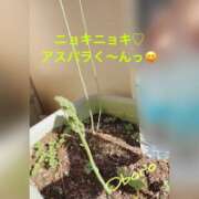 ヒメ日記 2026/04/19 17:11 投稿 おぼろ 西船人妻花壇