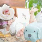 ヒメ日記 2026/04/26 11:24 投稿 おぼろ 西船人妻花壇