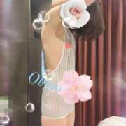 ヒメ日記 2026/04/26 15:42 投稿 おぼろ 西船人妻花壇