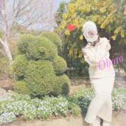 ヒメ日記 2026/05/01 11:55 投稿 おぼろ 西船人妻花壇